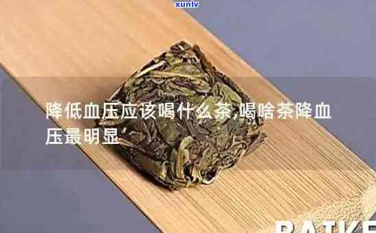 云南降血压的一种茶-云南降血压的一种茶是什么