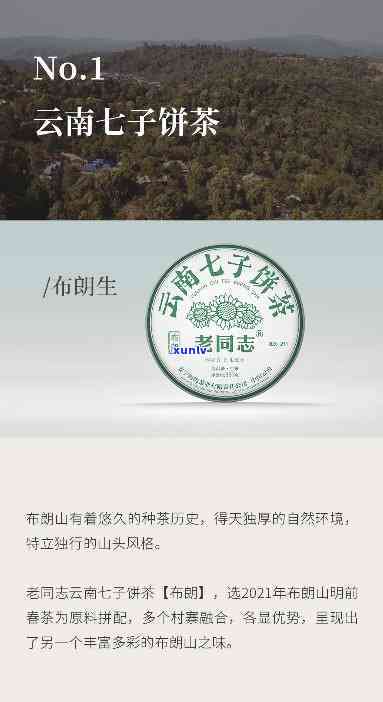 云南七子茶业：公司介绍与产品系列全览