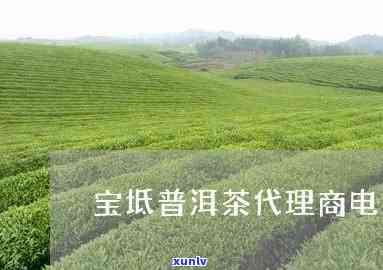 宜良宝茶宜良销售部：寻找宜良宝茶销售点及宜良县宝茶厂联系方式