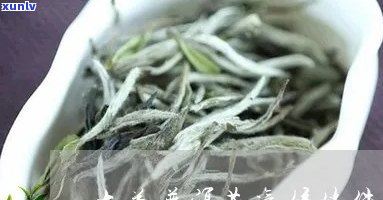 大益茶存气候条件有哪些，影响大益茶口感的五大存气候因素解析