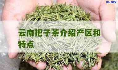 云南把子茶特点，探索云南特色：揭秘把子茶的独特魅力与特点