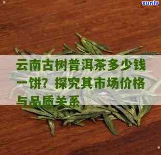 云南老树茶是什么价位？详解其价格与品质关系