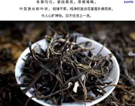 云南老树茶是什么价位？详解其价格与品质关系