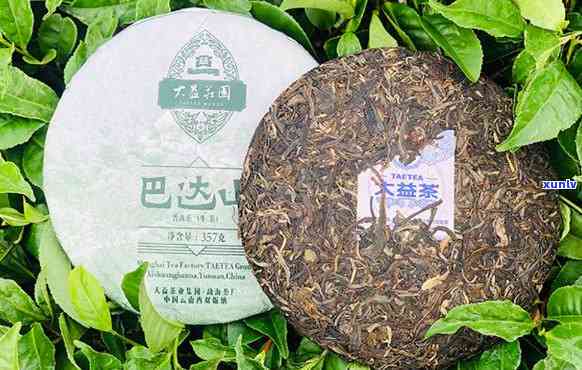 大益茶巴妙韵用料-大益茶巴妙韵用料怎么样