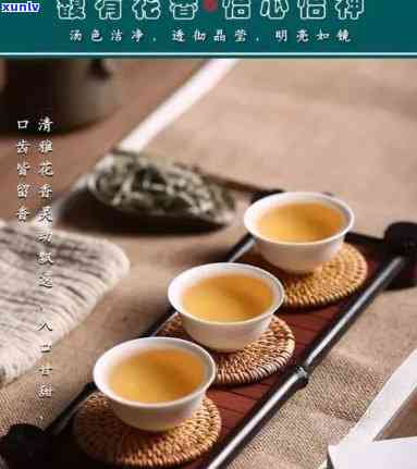 号大益茶1701，品尝千年古韵，感受号大益茶1701的独特魅力！