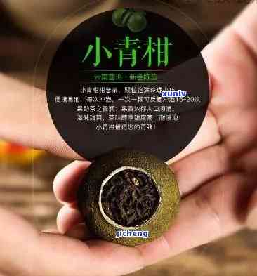 古树小青柑普洱茶，品味千年历：古树小青柑普洱茶的魅力探索