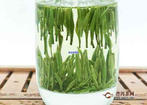 青针绿茶特点，探秘青针绿茶：独特的特点和魅力