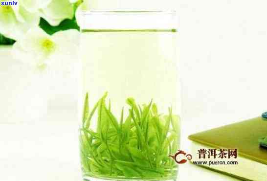 青针绿茶特点，探秘青针绿茶：独特的特点和魅力