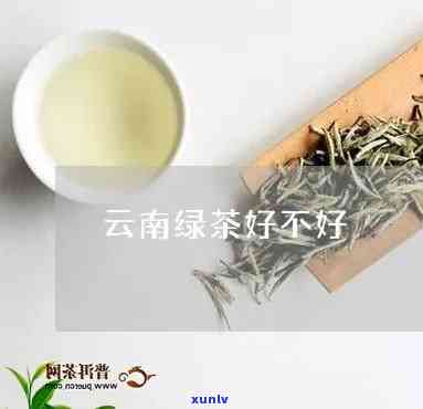 2019年班章早春茶云南普洱茶生茶七子饼茶，【2019年】班章早春茶 云南普洱茶 生茶 七子饼茶