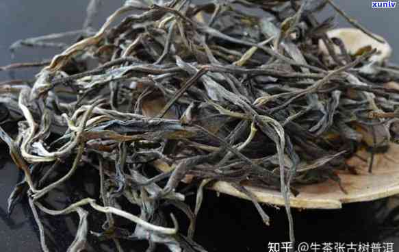 云南老树茶怎么样，深度解析：云南老树茶的品质与口感如何？