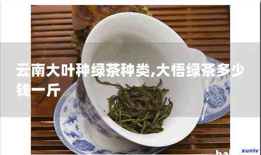 云南大叶绿茶的分类及特点解析