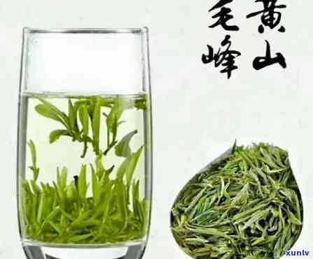 云南毛峰绿茶的特点-云南毛峰绿茶特色