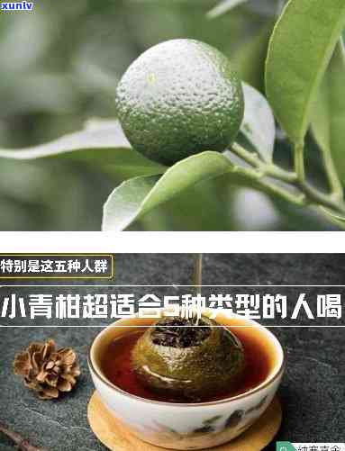 什么人适合喝小青柑茶，探讨哪些人群适合饮用小青柑茶？