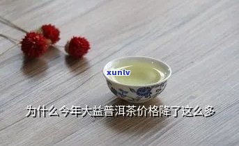 2020年老班章古树纯料价格及树龄解析：多年古树茶独特价值体现