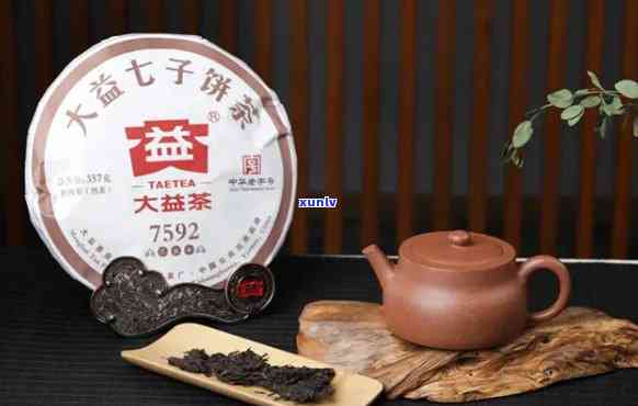 大益茶的宗旨是什么-大益茶的宗旨是什么