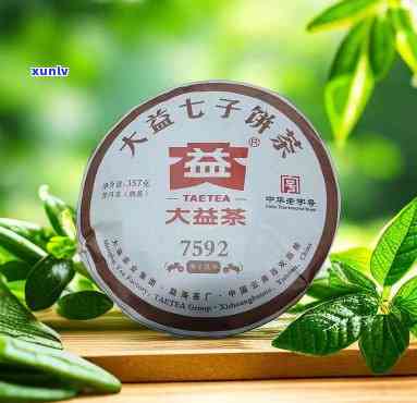 大益茶2020鼠年-大益鼠年熟茶