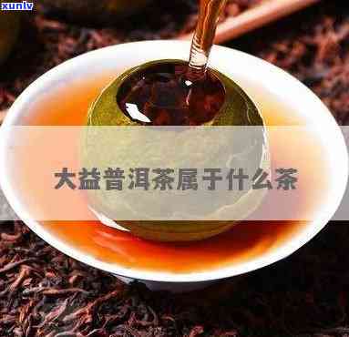 大益茶是哪里的-大益茶是哪里的