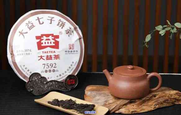 大益茶是哪里的-大益茶是哪里的