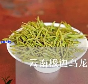 云南腾冲极边乌龙茶简介，《探秘云南腾冲：极边乌龙茶的起源与特色》