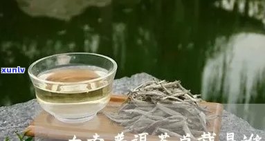 青岛大益茶老板是谁-青岛大益茶旗舰店