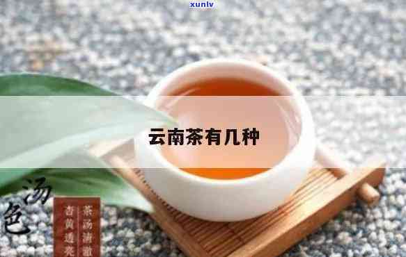 云南三道茶分别是什么茶叶品种？云南三道茶分别是什么茶？详解云南三道茶