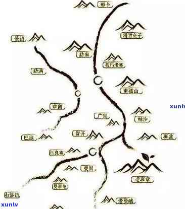 大益茶是哪个山头的，探寻茶叶之源：大益茶来自哪座山头？