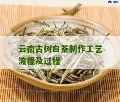 云南白茶工艺：主要以何种茶叶 *** 而成？