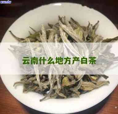 云南白茶在哪个地区最多，揭秘：云南白茶的主要产区在哪里？