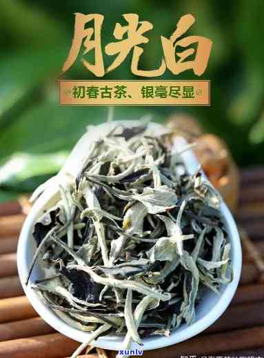 云南白茶是否属于普洱茶？探究其分类归属