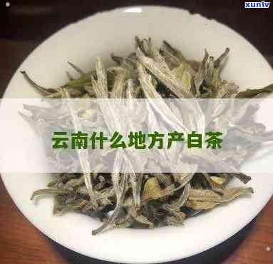 云南白茶产区是那里-云南白茶产区是那里的