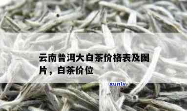 云南大白茶多少钱一斤？最新市场价格揭晓！