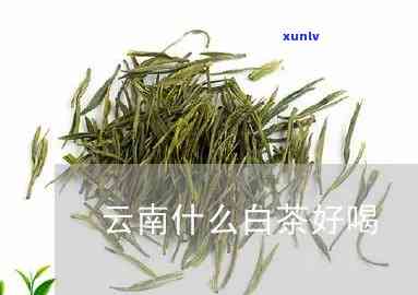 古树豫普洱茶2017-2018饼藏熟茶，旗舰店价格表。