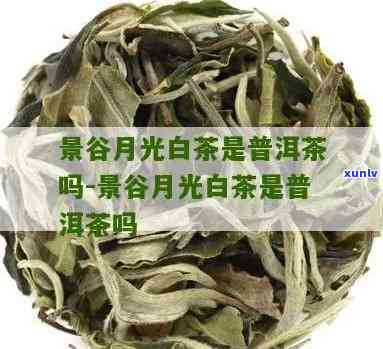 云南月光白茶：是普洱茶吗？探讨其身份与争议