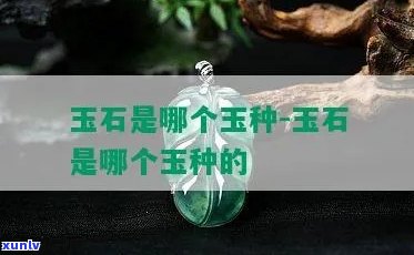 几元的玉石件是什么玉质，价格几元的玉石件，是何种玉质？