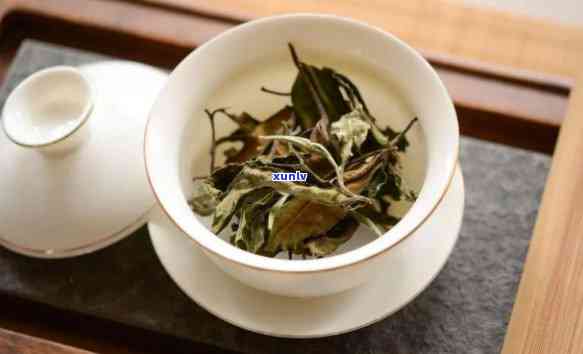 云南白茶的口感特点-云南白茶的口感特点春茶