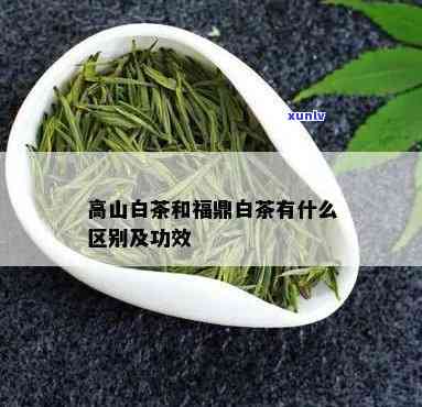 云南高山白茶的特点与作用解析