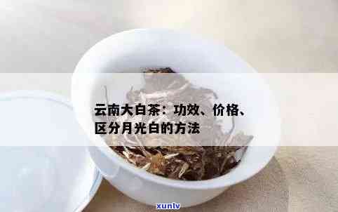 云南大白毫与月光白：如何区分景谷大白毫与月光白？