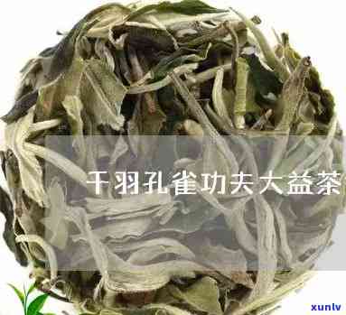 千羽雀大益茶一提-千羽雀大益茶今天报