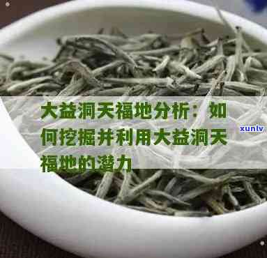 洞天福地大益茶价格与收藏价值解析：深度揭秘其用料