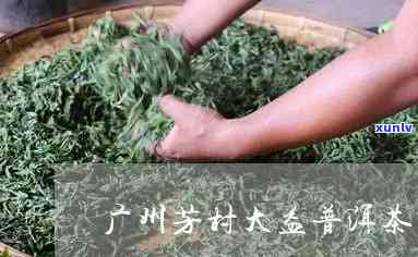 州芳村大益茶业网-州芳村大益茶业网点地址