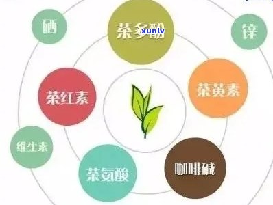 大益茶酵素什么功效-大益茶酵素什么功效好