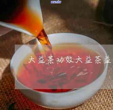 大益茶酵素什么功效-大益茶酵素什么功效好