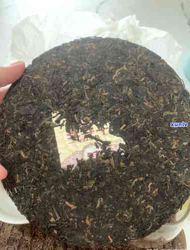 大益茶7692咋样-大益茶7692怎么样