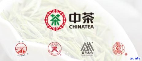 大益茶体验中心，探索茶叶之美：大益茶体验中心，让您亲身感受中国茶文化