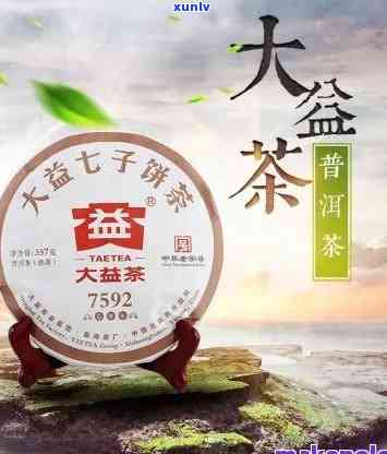 大益茶地址全览：包括大益茶厂地址及联系 *** 