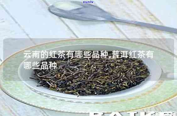 云南红茶品种排名：全揭秘！