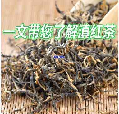 滇江茶红茶：品质、价格全解析