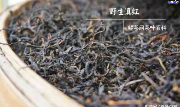 云南晒红茶的作用与功效：口感及全面解析