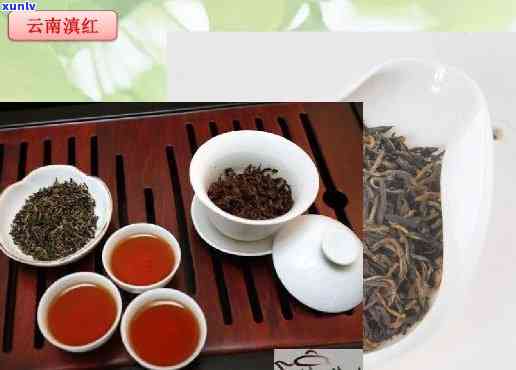 云南红茶百科：全面介绍云南红茶的历、品种与 *** 工艺