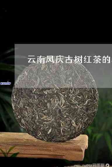 云南凤庆红茶特点及其品种介绍